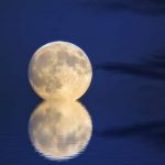 ウィジェットエリア紹介・使い方